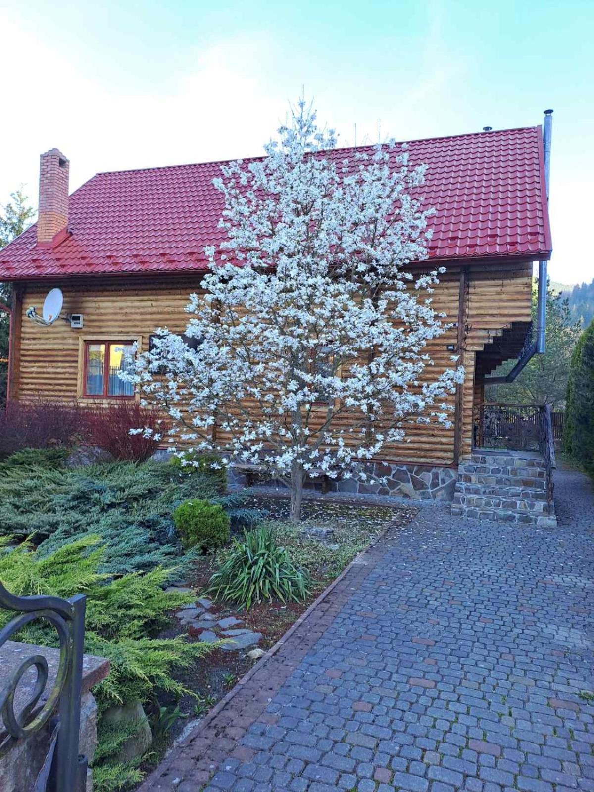 Villa Magnolia à Tatariv Extérieur photo